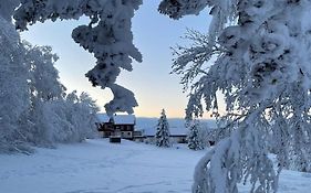Gemütliche Ferienwohnung Harz Braunlage Hohegeiß